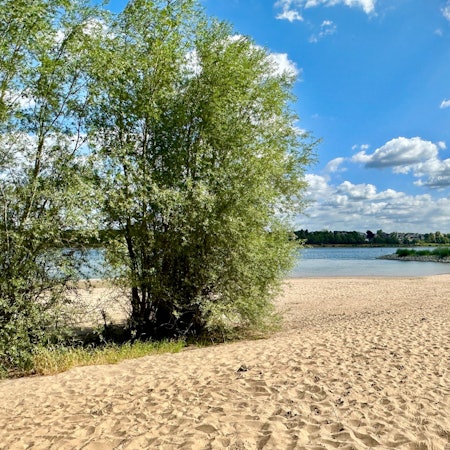 Das Rheinufer im Kölner Süden, auch Rodenkirchener Riveria genannt, bietet Sandstrände und Rheinblick.