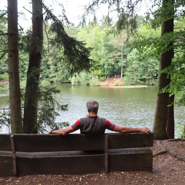 Ein Mann sitzt auf einer Bank und betrachtet durch Zweige hindurch einen See.