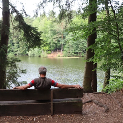 Ein Mann sitzt auf einer Bank und betrachtet durch Zweige hindurch einen See.
