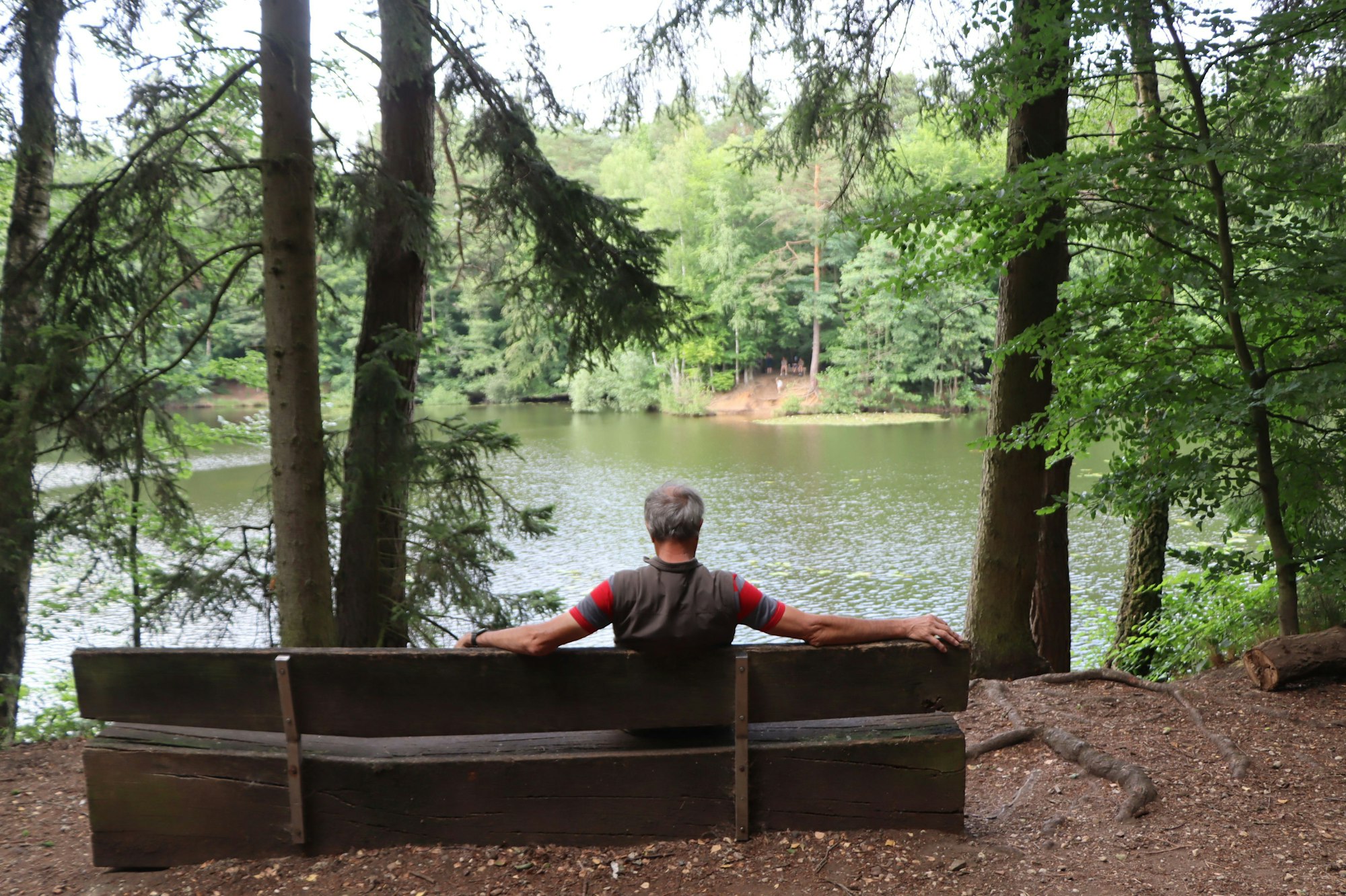 Ein Mann sitzt auf einer Bank und betrachtet durch Zweige hindurch einen See.