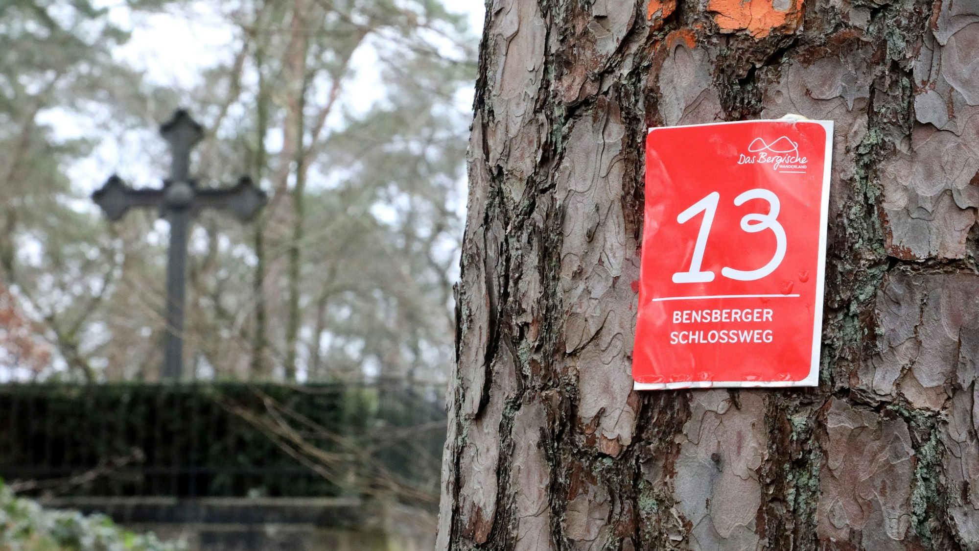 Die Wegemarkierung des Bensberger Schlosswegs, eine weiße 13 auf rotem Grund, prangt an der Borke eine Kiefer. Im Hintergrund steht ein umfriedetes Kreuz, das als Gedenkstätte dient,