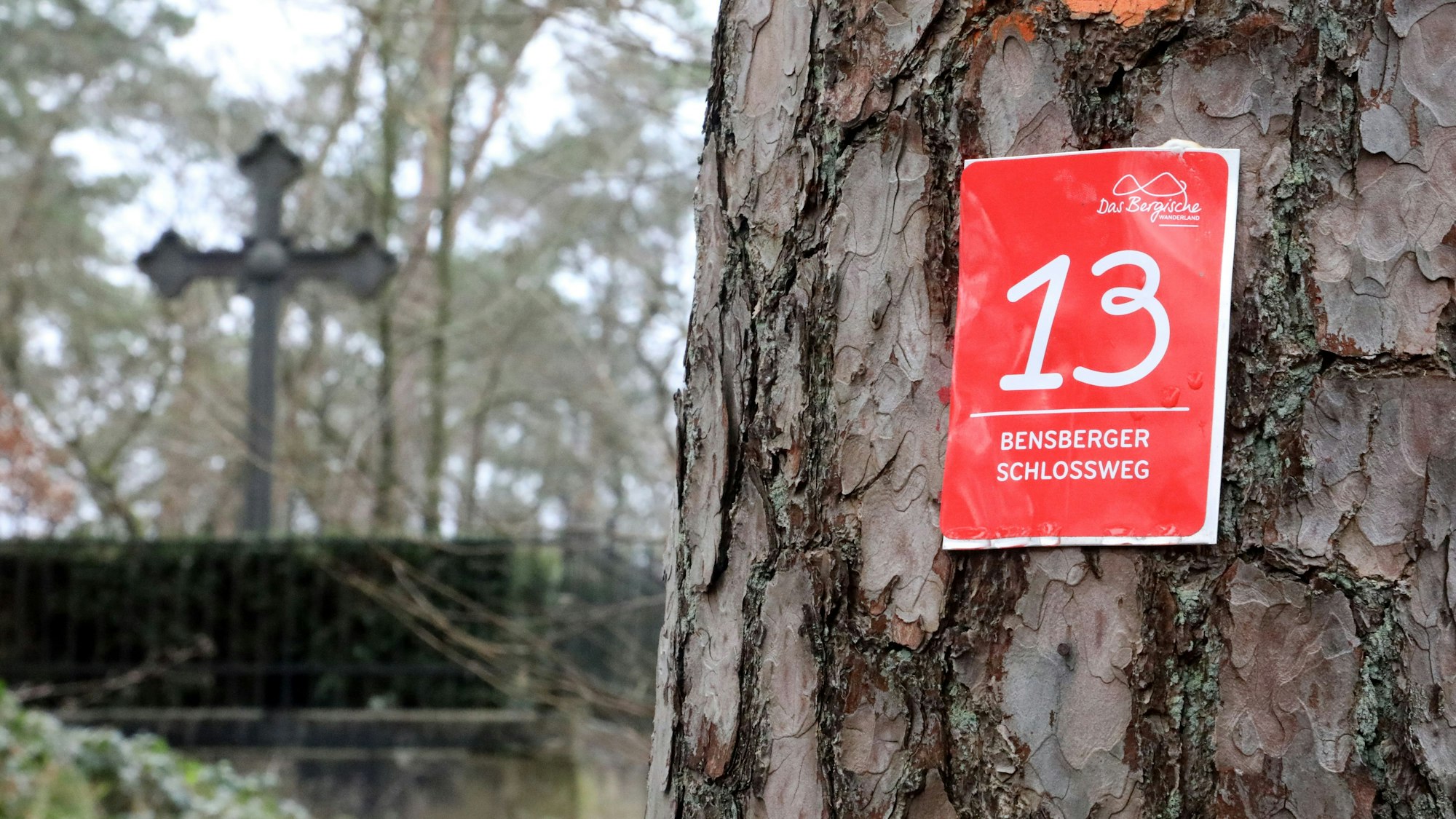 Hinter einem Baum mit der Wegemarkierung des Bensberger Schlosswegs ist ein eisernes Kreuz zu sehen.
