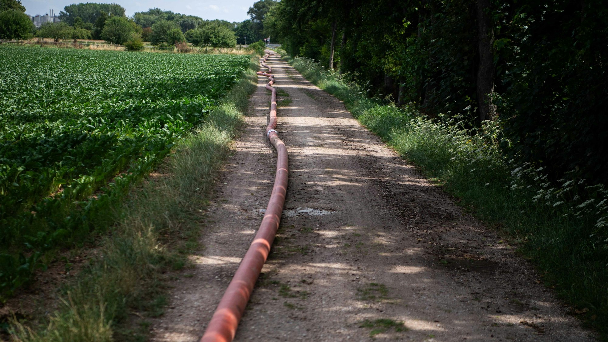 Eine Löschwasserleitung verläuft über einen Wirtschaftsweg.