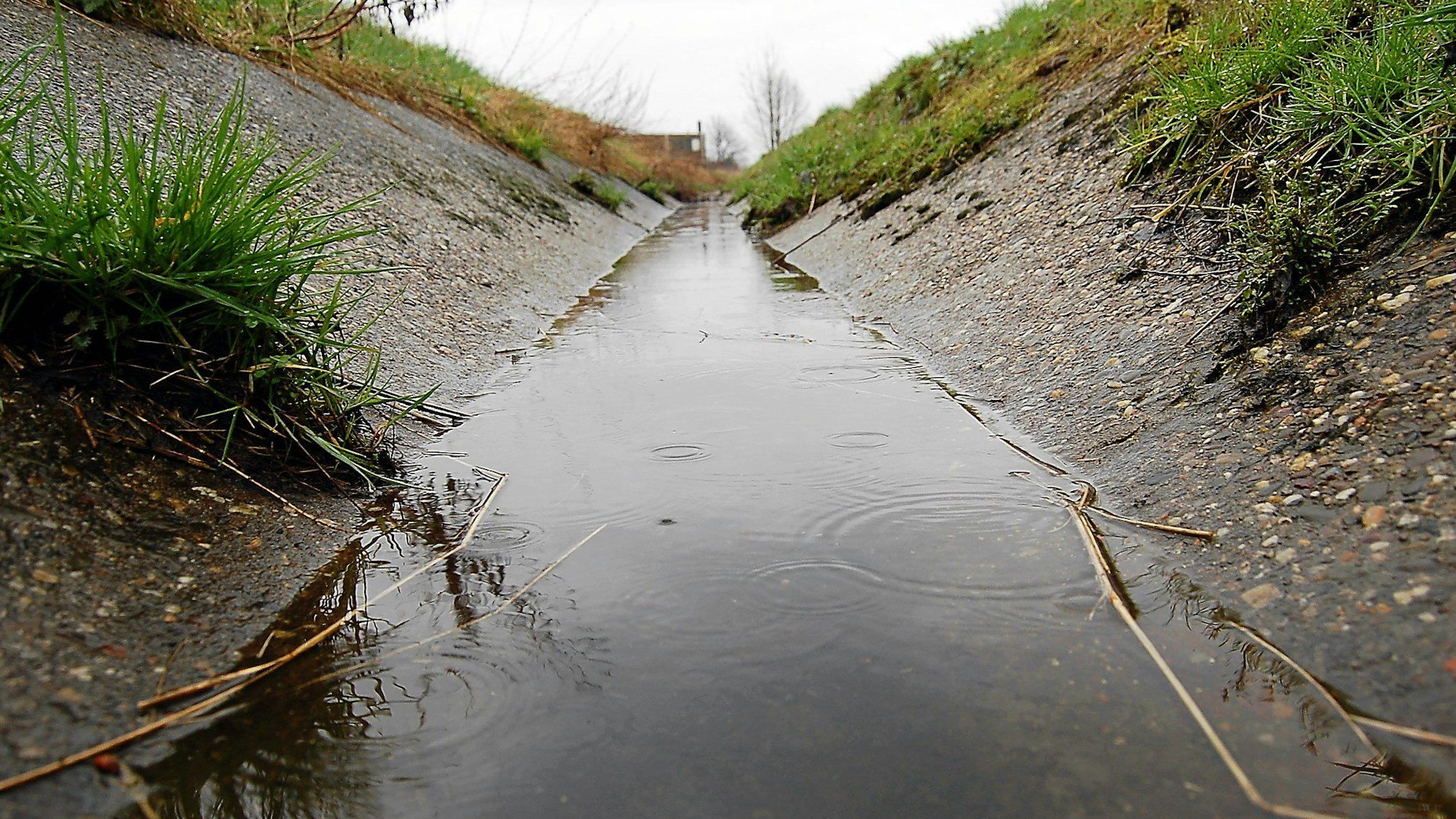 Durch eine Schale aus Beton fließt träge der Frechener Bach.
