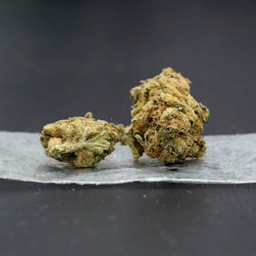 Ein heute 27 Jahre alter Engelskirchener soll mit Cannabis-Produkten, also mit Haschisch und Marihuana, in zum Teil nicht unerheblicher Menge gehandelt haben. Jetzt steht er deswegen vor dem Landgericht in Köln (Symbolfoto).