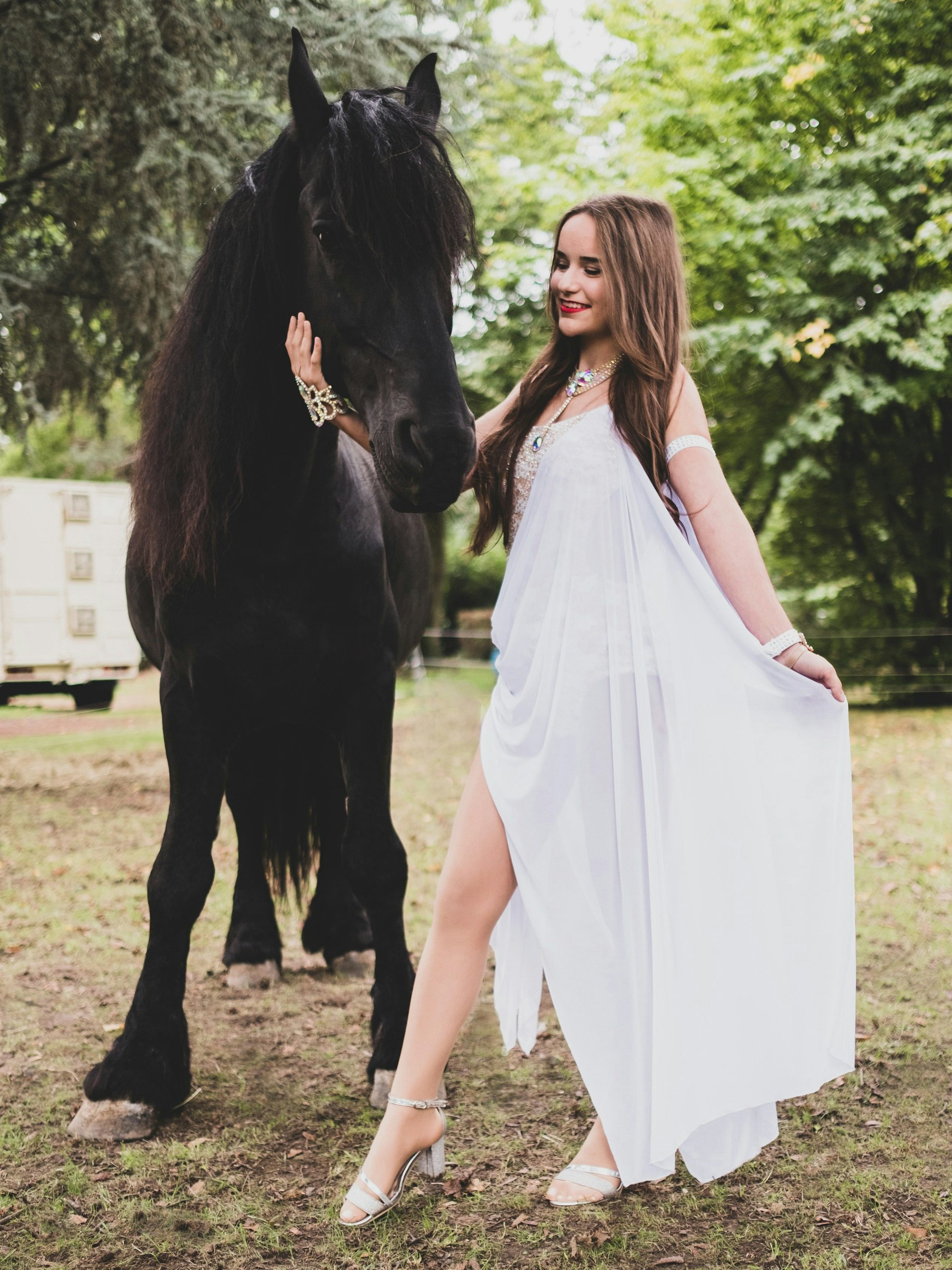 30 Tiere, darunter Pferde, Hunde, Ziegen und Dromedare gehören zum Programm des Circus Traber.