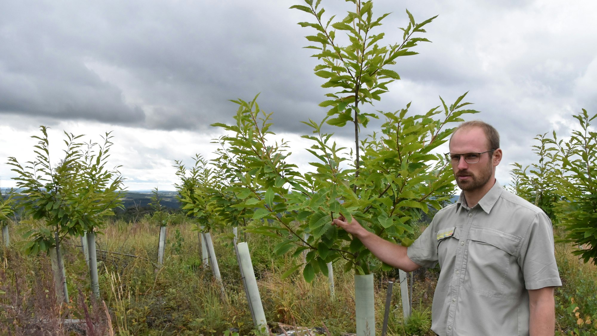 Lukas Jüssen steht vor einem Baum, der aus einer Pflanzhülle herausgewachsen ist.