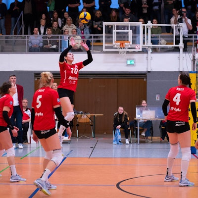 2. VBL Frauen Nord: 23. Spieltag - VfL Oythe vs. VCO Berlin, 02.04.2023 Sina Albers VfL Oythe, 11, Carina Maehlmeyer VfL Oythe, 3, Paulina Brys VfL Oythe, 5, Marian Mischo VfL Oythe, 10, Kseniia Ratii VfL Oythe, 4, Franka Poniewaz VfL Oythe, 9 2. VBL Frauen Nord: 23. Spieltag - VfL Oythe vs. VCO Berlin am 02.04.2023 in Vechta Sporthalle am Gymnasium Antonianum, Germany, Copyright: xBEAUTIFULxSPORTS/Neddermannx