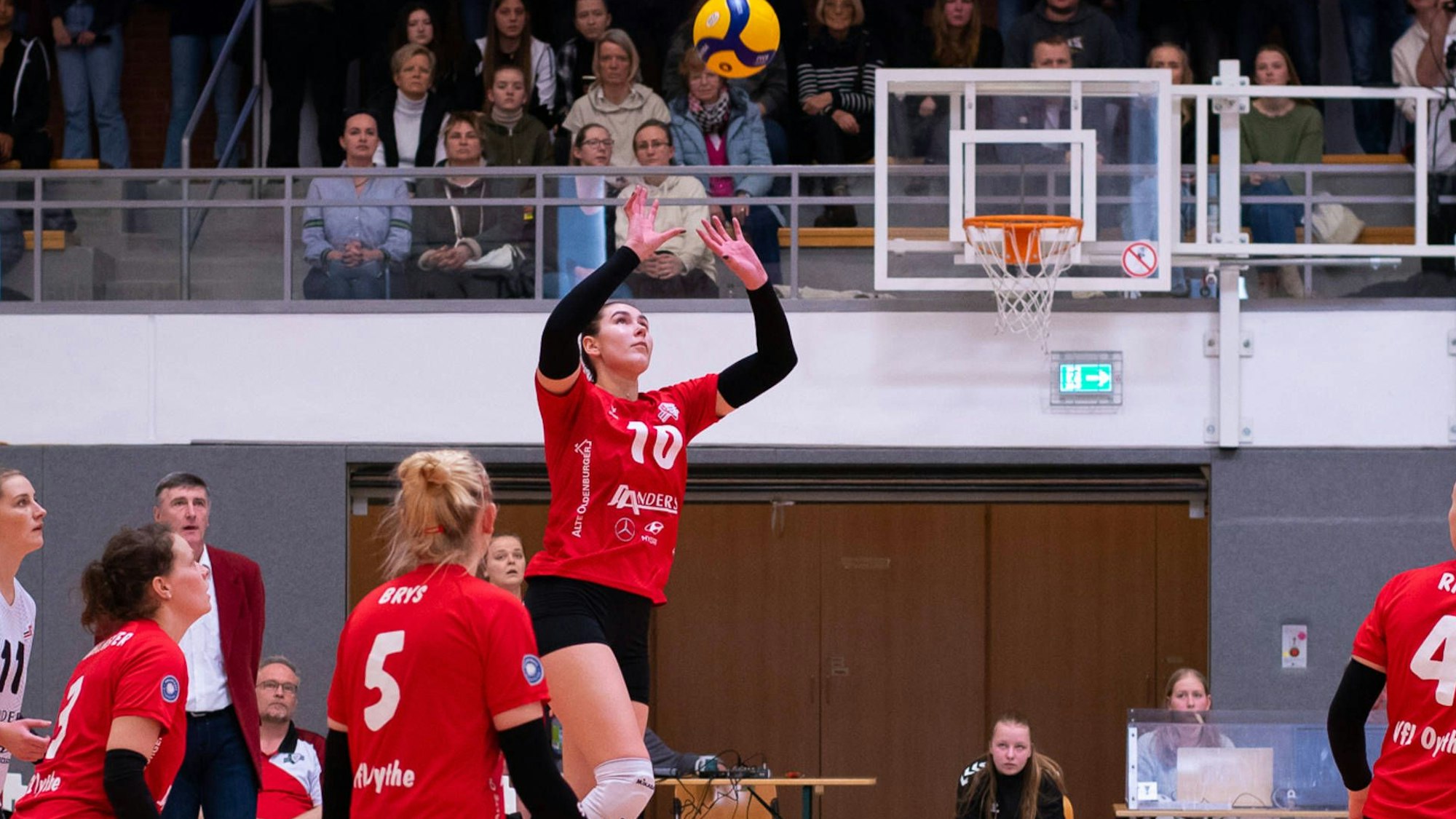 2. VBL Frauen Nord: 23. Spieltag - VfL Oythe vs. VCO Berlin, 02.04.2023 Sina Albers VfL Oythe, 11, Carina Maehlmeyer VfL Oythe, 3, Paulina Brys VfL Oythe, 5, Marian Mischo VfL Oythe, 10, Kseniia Ratii VfL Oythe, 4, Franka Poniewaz VfL Oythe, 9 2. VBL Frauen Nord: 23. Spieltag - VfL Oythe vs. VCO Berlin am 02.04.2023 in Vechta Sporthalle am Gymnasium Antonianum, Germany, Copyright: xBEAUTIFULxSPORTS/Neddermannx