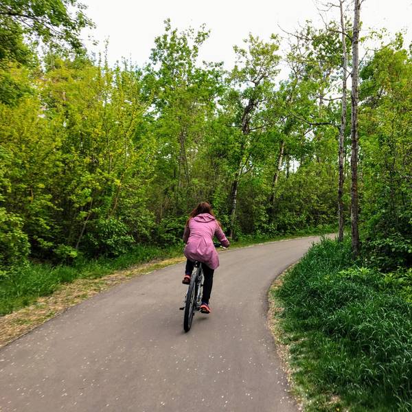 Eine Frau fährt mit dem Fahrrad durch einen Wald