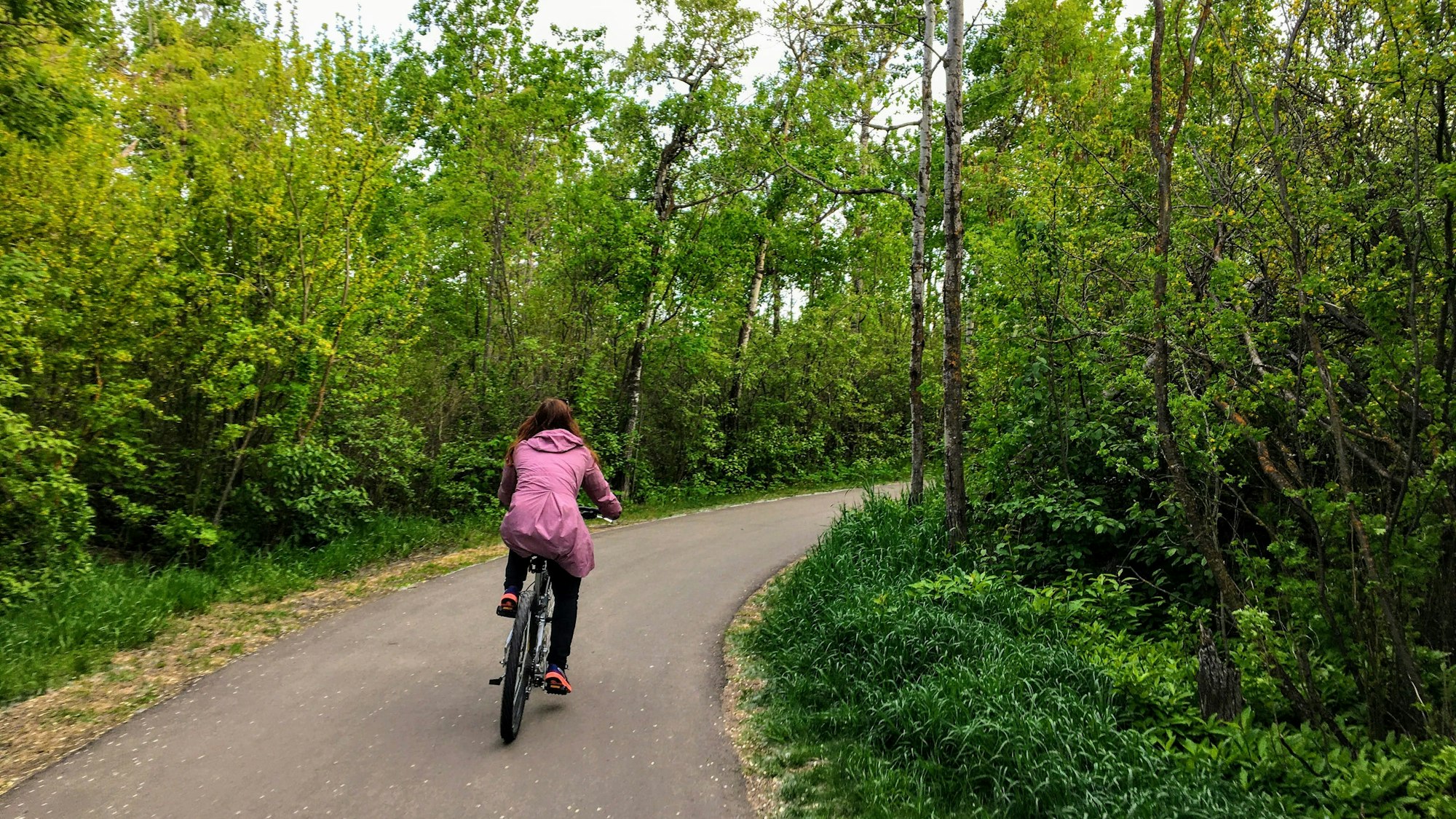 Eine Frau fährt mit dem Fahrrad durch einen Wald