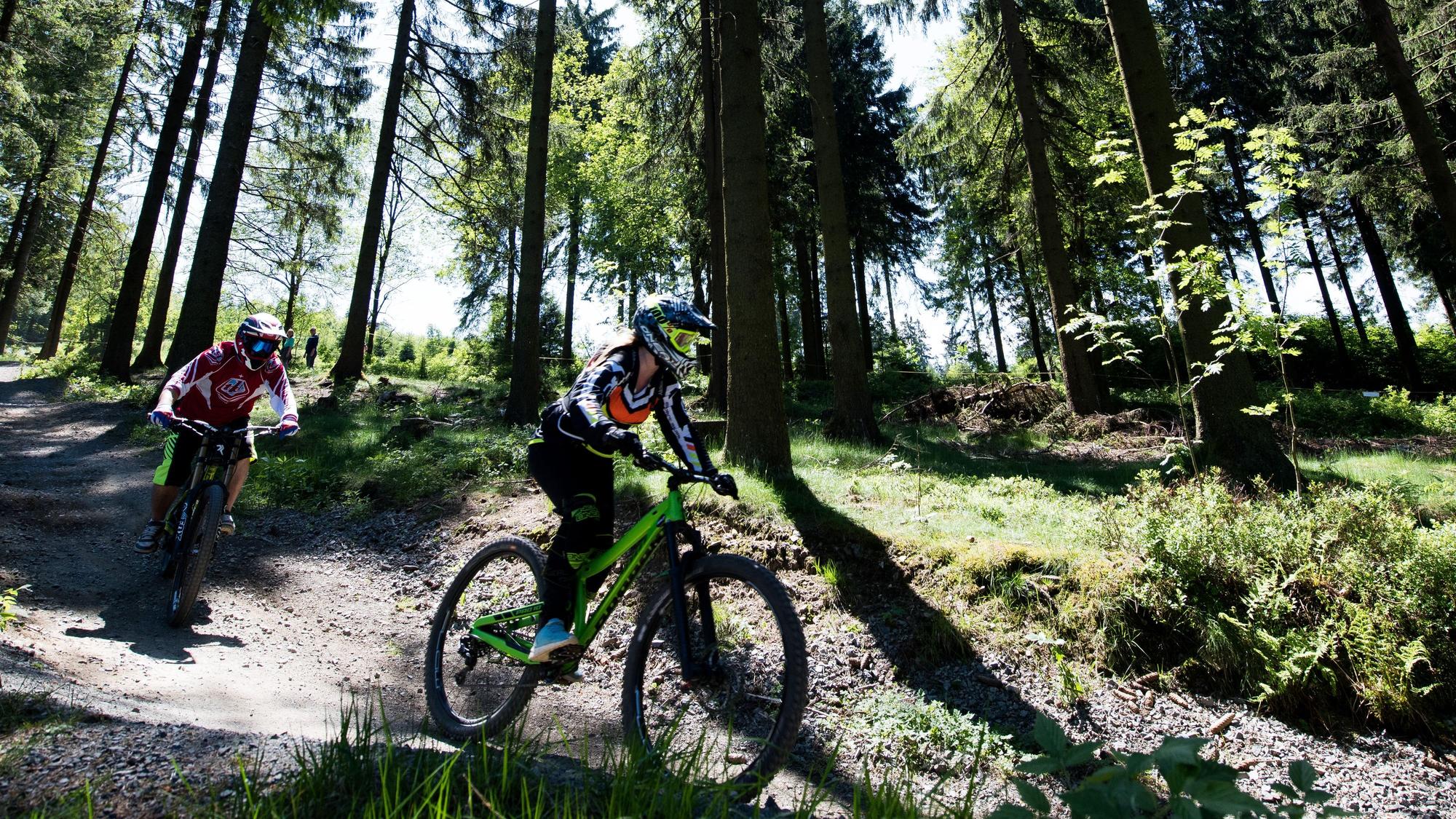zwei Mountainbiker fahren auf einer Strecke durch einen Wald