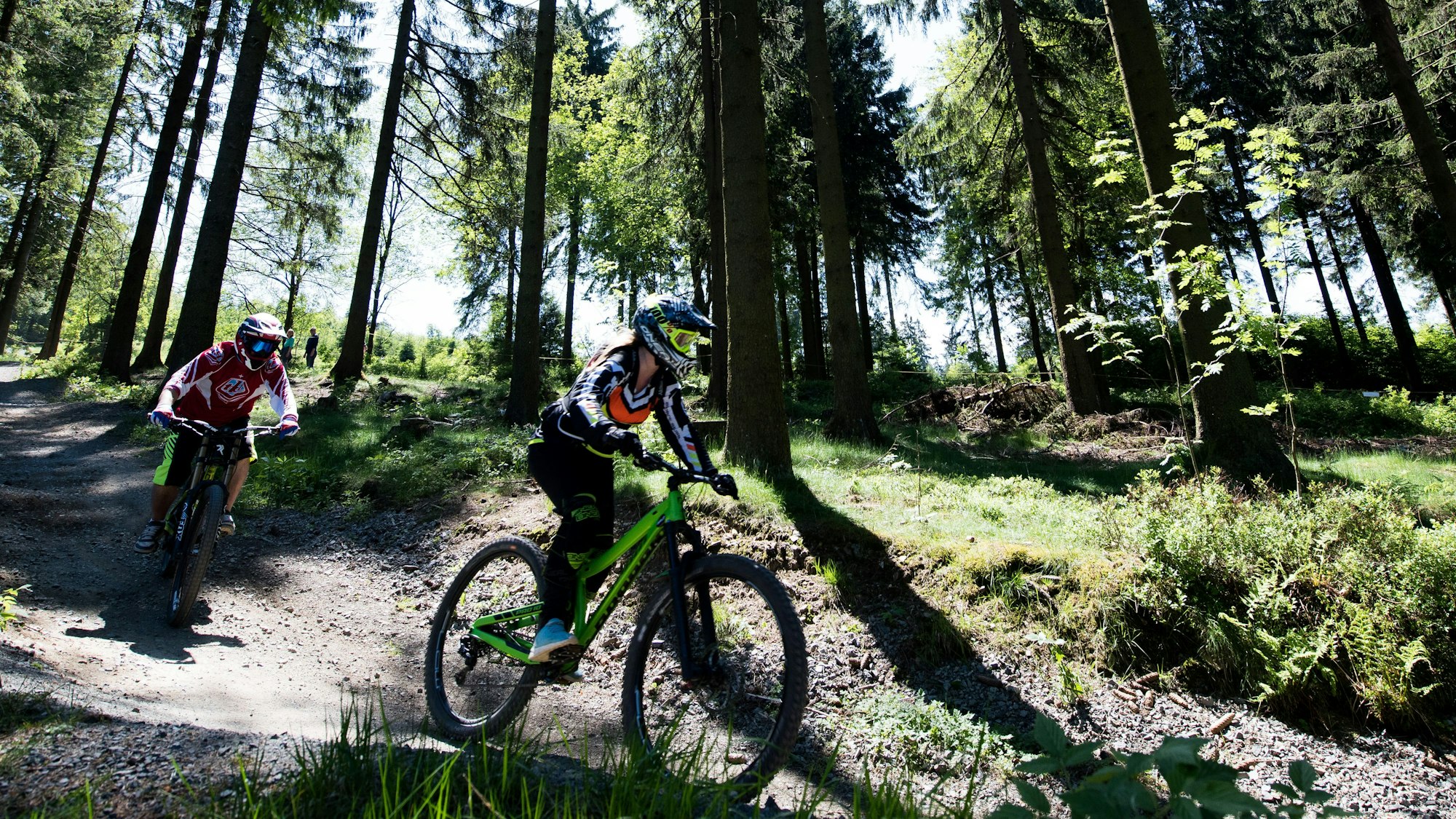 zwei Mountainbiker fahren auf einer Strecke durch einen Wald