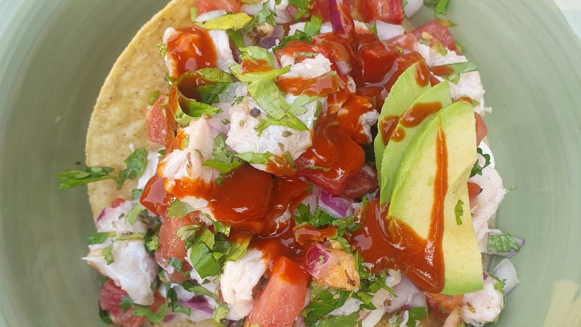 gefüllter Taco angerichtet auf einem Teller