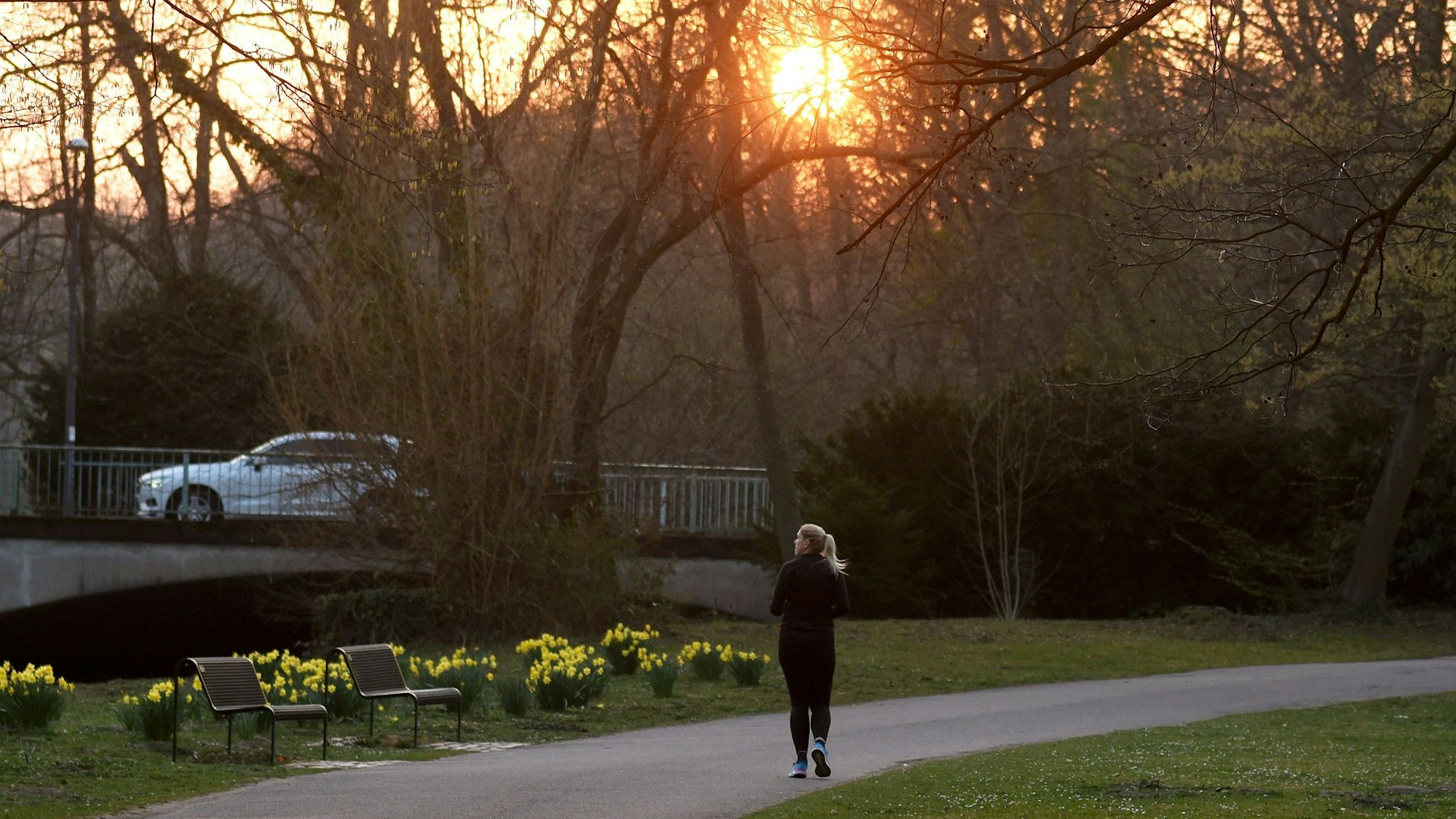 Eine Joggerin läuft durch den Stadtwald. Hier wird eine neue öffentliche Toilette aufgestellt.