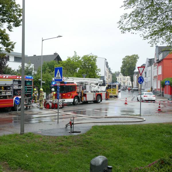 Zahlreiche Einsatzwagen der Feuerwehr stehen auf einer Straße.