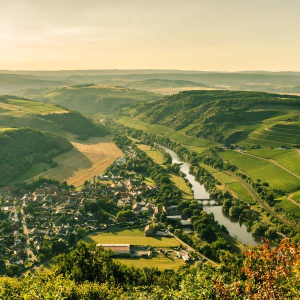 Panoramablick über das Nahetal mit Weinbergen und der Stadt Oberhausen an der Nahe an einem Sommerabend.