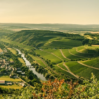 Panoramablick über das Nahetal mit Weinbergen und der Stadt Oberhausen an der Nahe an einem Sommerabend.