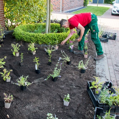 Auf dem Foto ist ein umgestalteter Schottergarten zu sehen. Ein Gärtner setzt neue Pflanzen.