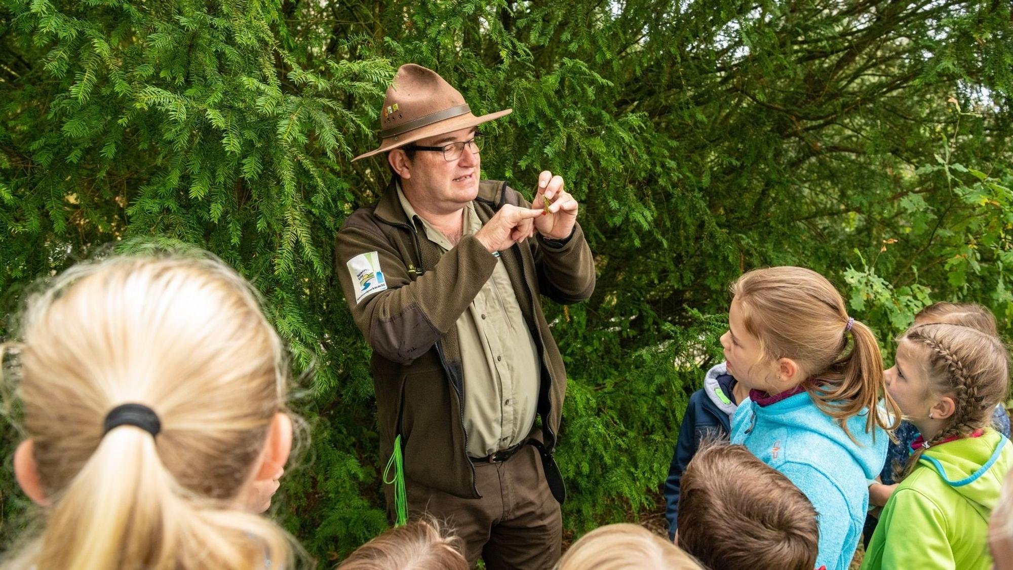 Ein Ranger des Nationalparks Eifel, der einen markanten braunen Hut trägt, erklärt Kindern Zusammenhänge aus der Natur