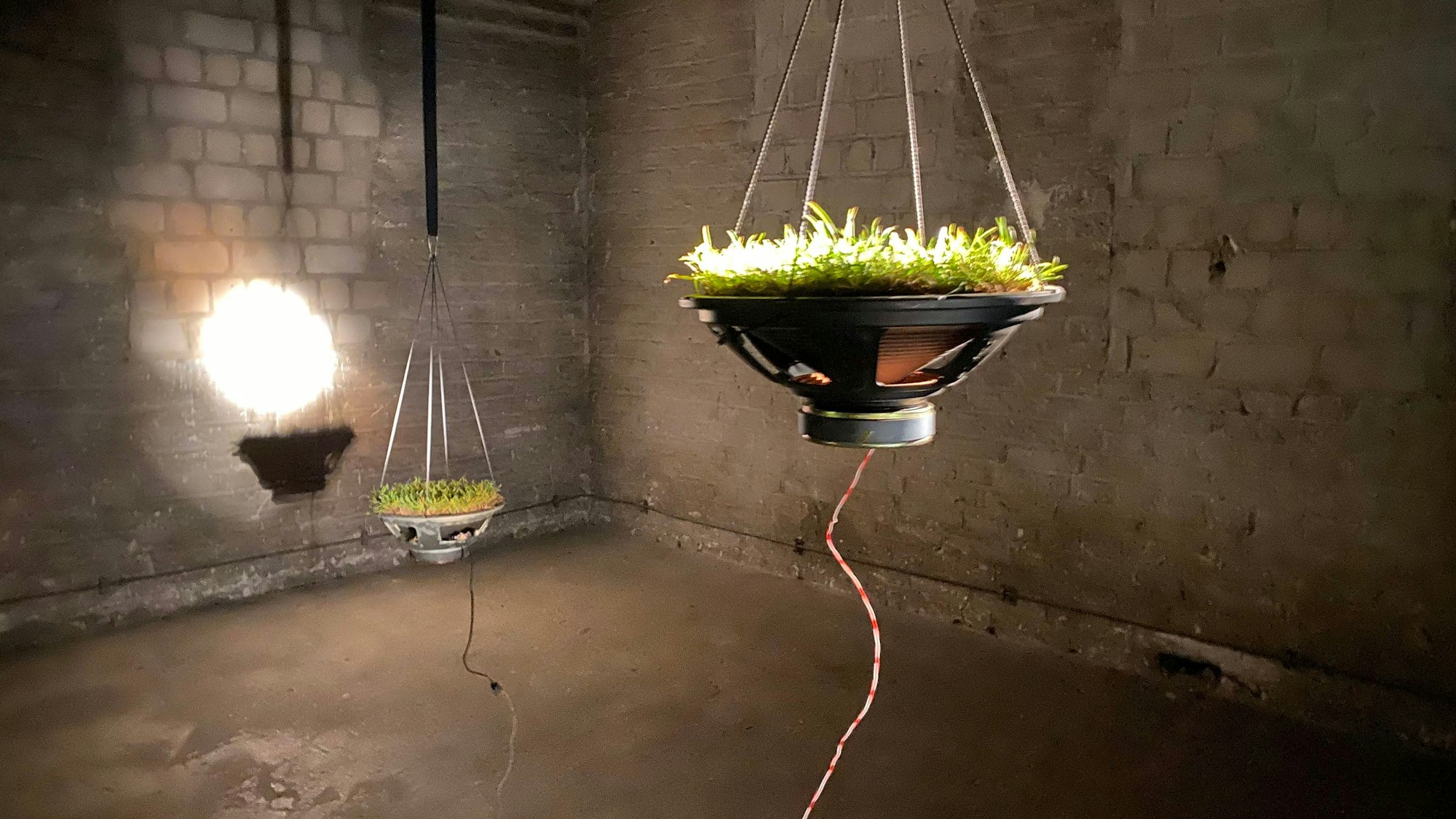 Zwei Lautsprecher hängen in einem kahlen Raum wie Blumentöpfe von der Decke.