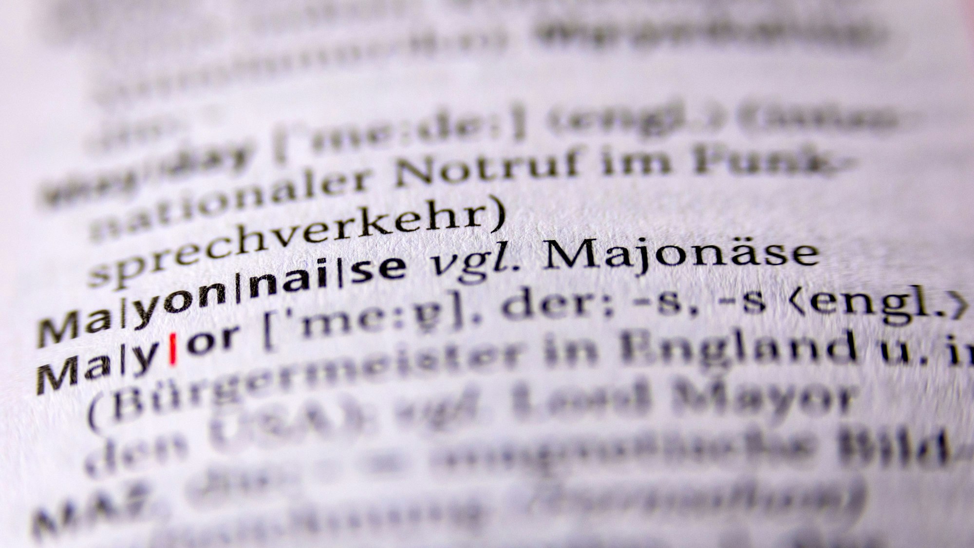 Ein Duden mit den Regeln der deutschen Rechtschreibung.