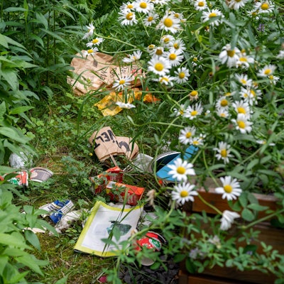 Zu sehen ist die vermüllte Wildblumenwiese rund um die Kölner St. Agnes-Kirche.