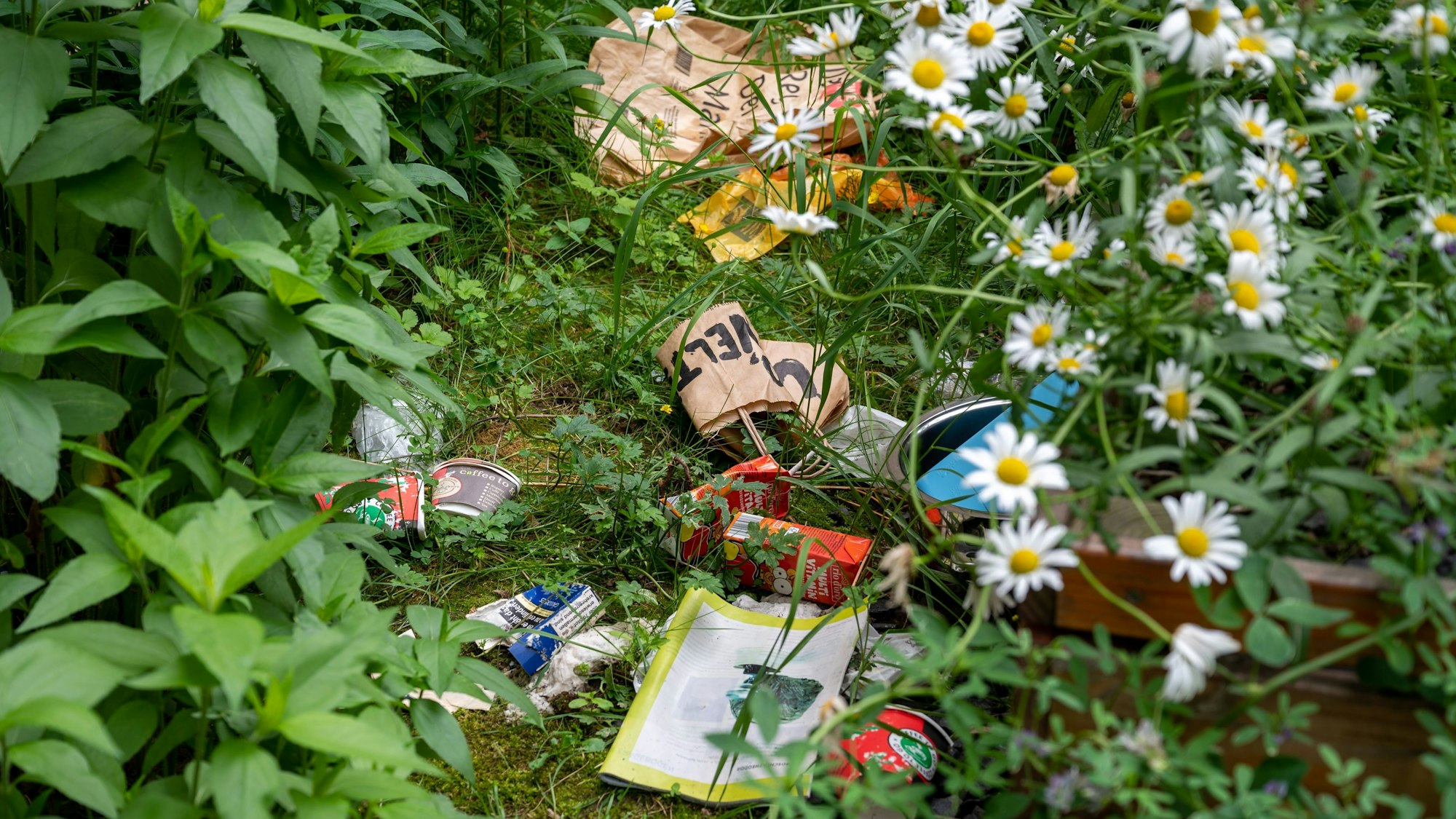 Zu sehen ist die vermüllte Wildblumenwiese rund um die Kölner St. Agnes-Kirche.