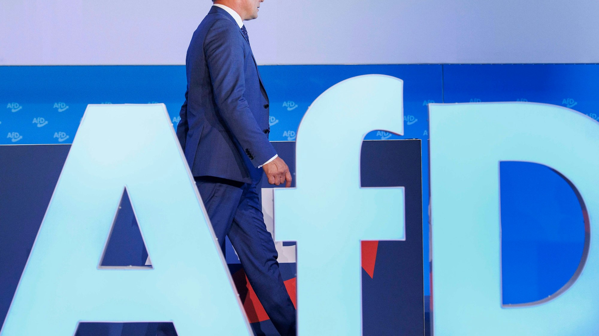 Das AfD-Parteilogo bei der Europawahlversammlung in der Messe Magdeburg.