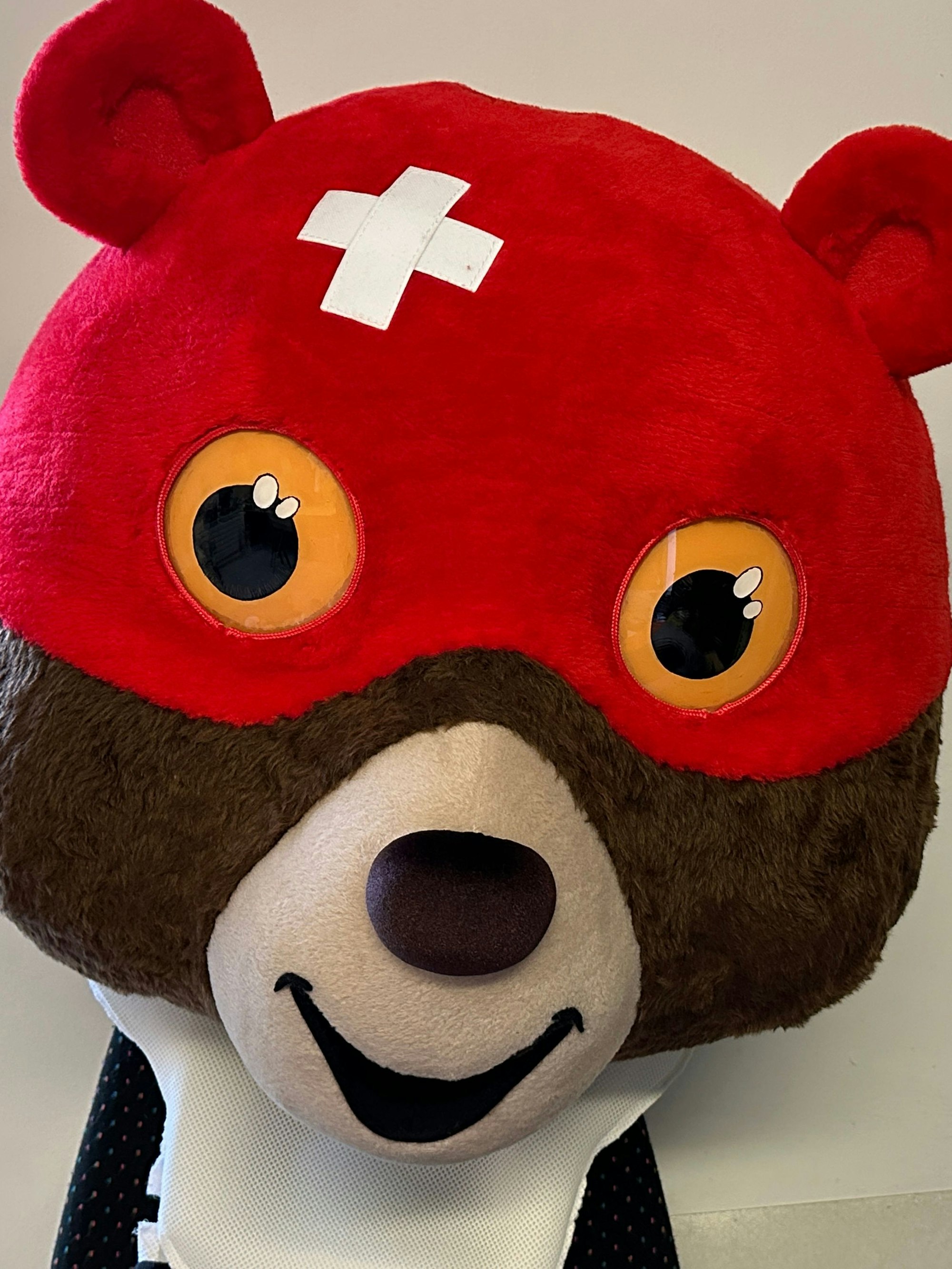 Der Bär mit Pflaster auf dem Kopf.