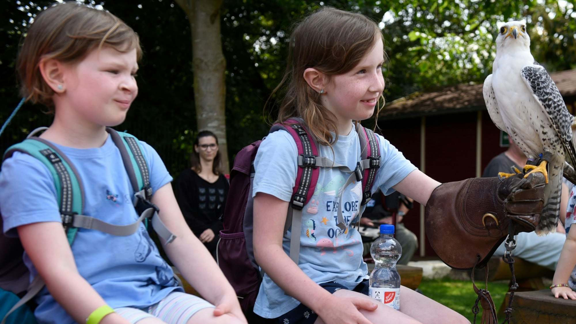 Zwei Kinder schauen einen Vogel an, den eines auf der Faust hat.