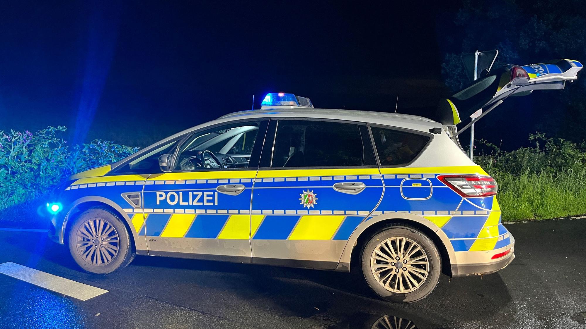 Ein Streifenwagen steht mit eingeschaltetem Blaulicht bei Nacht vor einer Grünfläche auf der Straße.