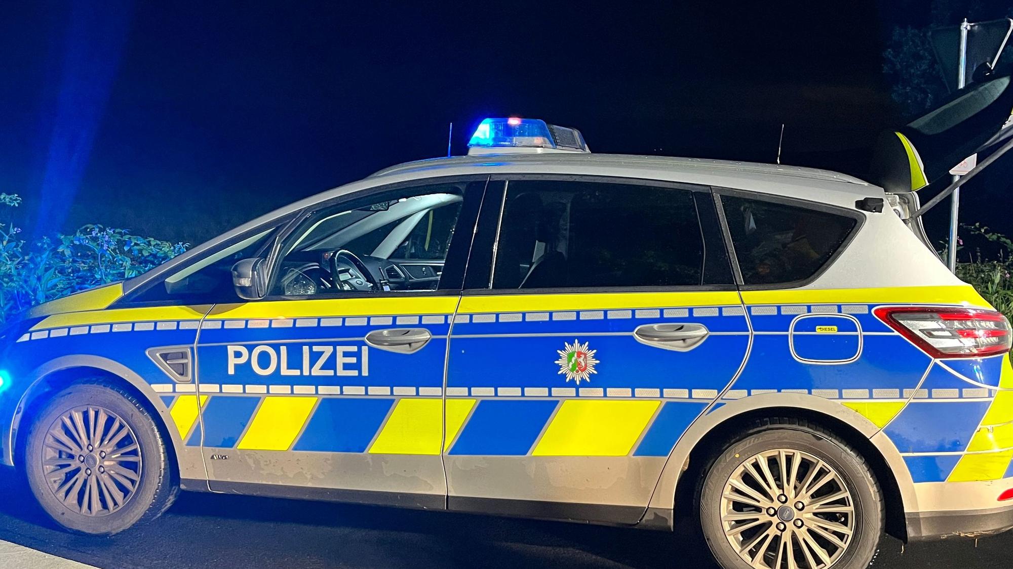 Ein Streifenwagen steht mit eingeschaltetem Blaulicht bei Nacht vor einer Grünfläche auf der Straße.