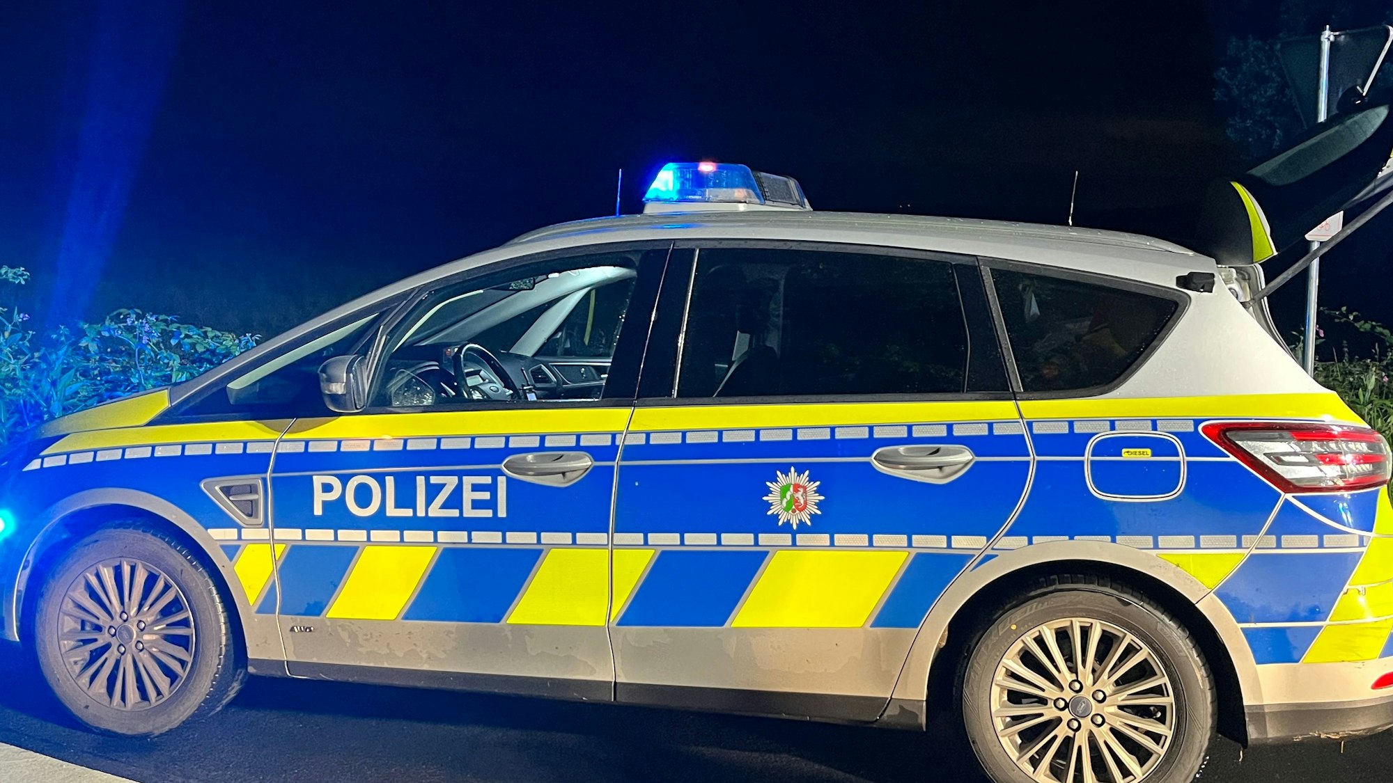 Ein Streifenwagen steht mit eingeschaltetem Blaulicht bei Nacht vor einer Grünfläche auf der Straße.