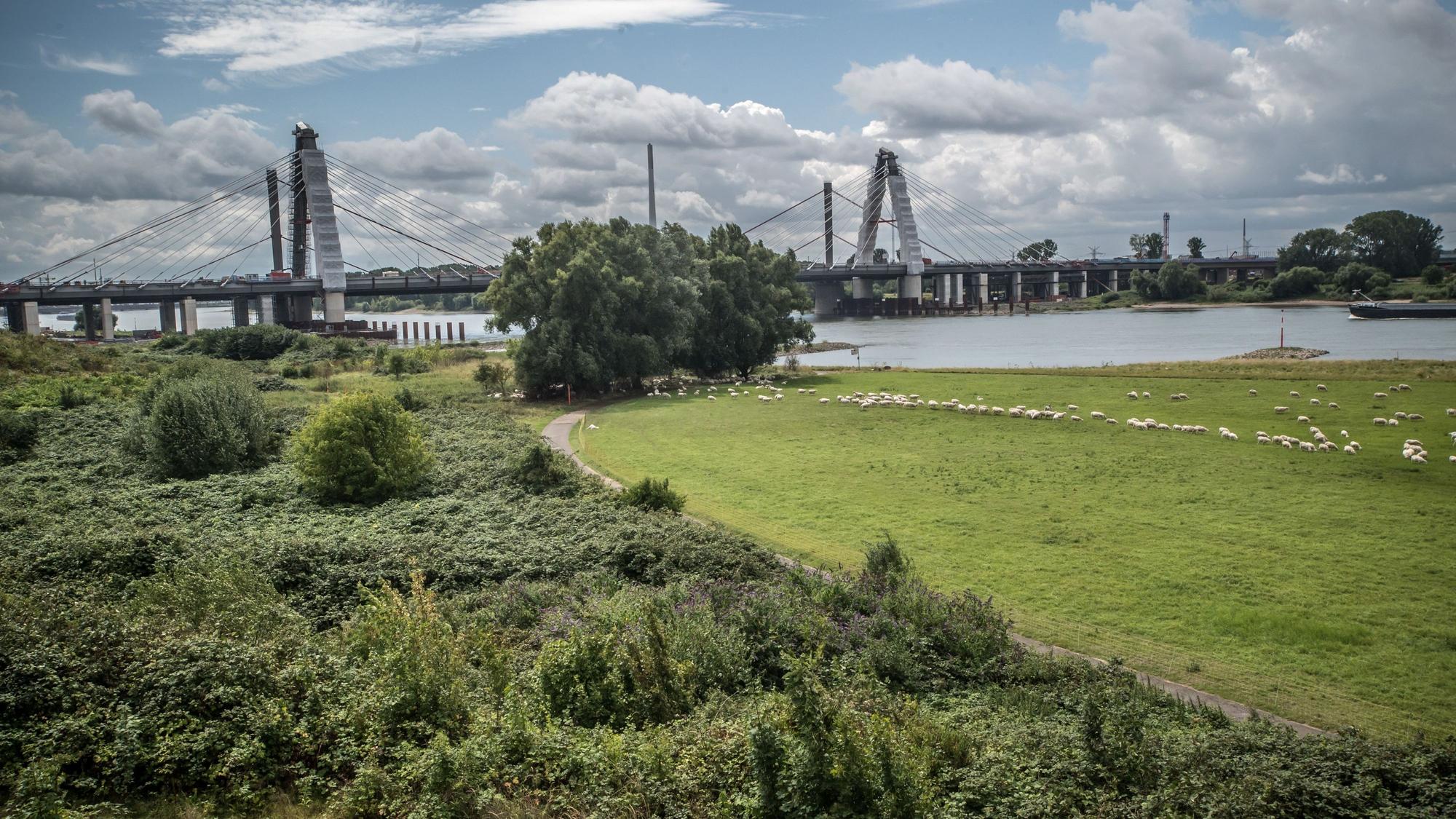 Fläche, die als Windenergie-Standort möglich ist. Windkraft. Foto: Ralf Krieger