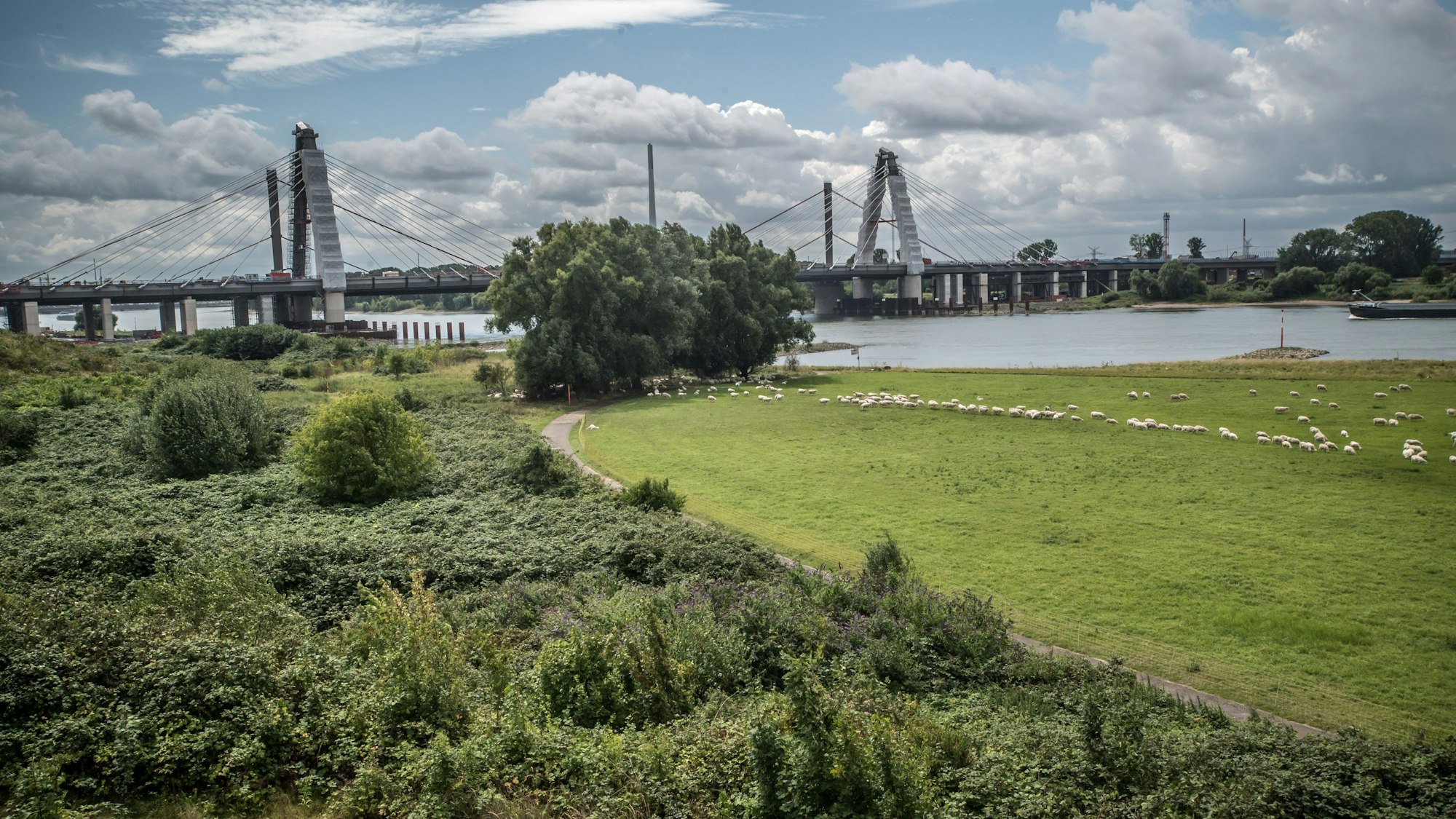 Fläche, die als Windenergie-Standort möglich ist. Windkraft. Foto: Ralf Krieger