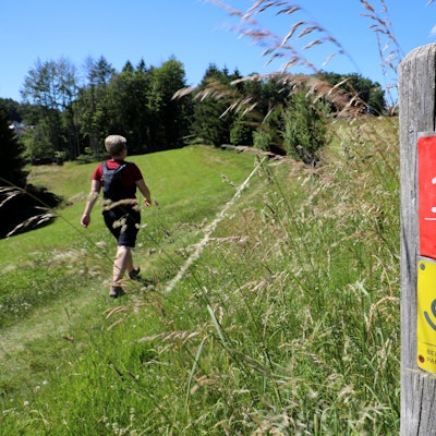 Eine Wanderin wandert über einen Wiesenweg an einem Pfosten mit den Markierungen des Bierwegs und des Bergischen Panoramasteigs vorbei.