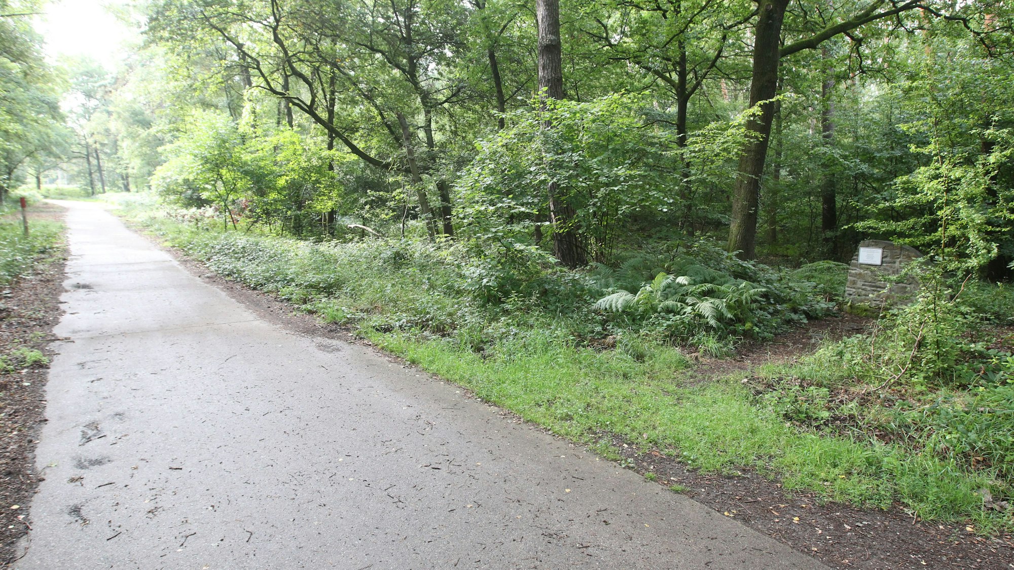 Auf dieser Straße geschah vor 50 Jahren der Unfall.