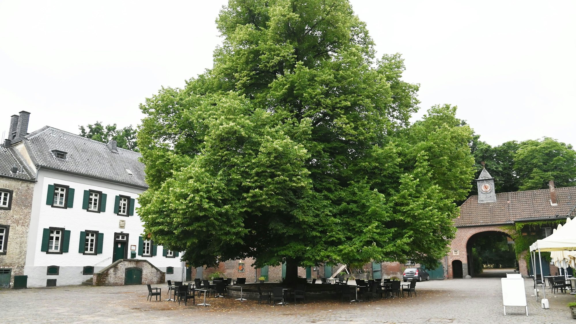 Blick in den Innenhof von Gut Leidenhausen. In der Mitte stehen Tische und Bänke unter einem großen Baum.