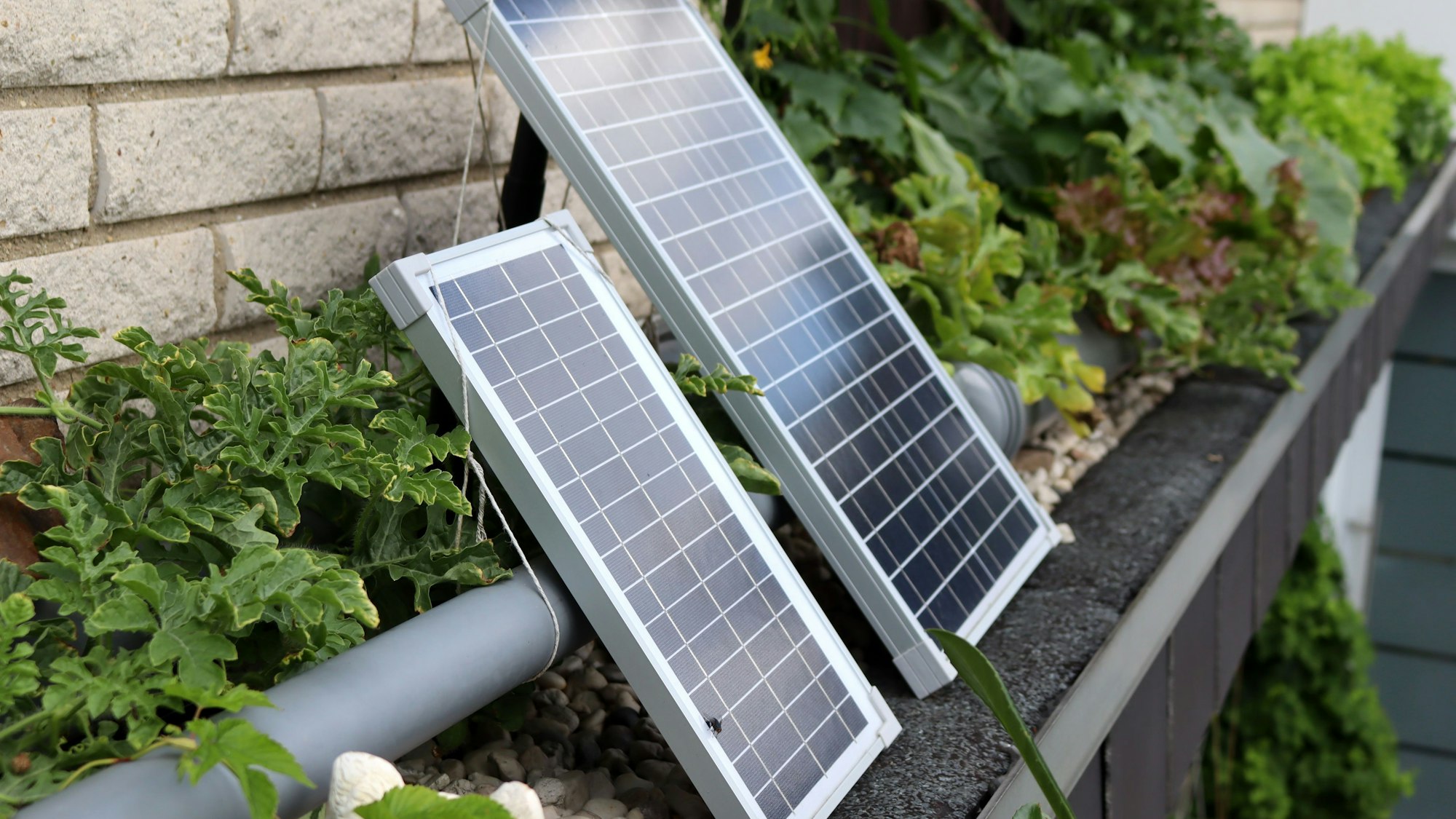 Zwei Solarmodule auf einem Vorsprung des Garagendachs, dahinter eine Wasserleitung, die die Pflanzen versorgt.