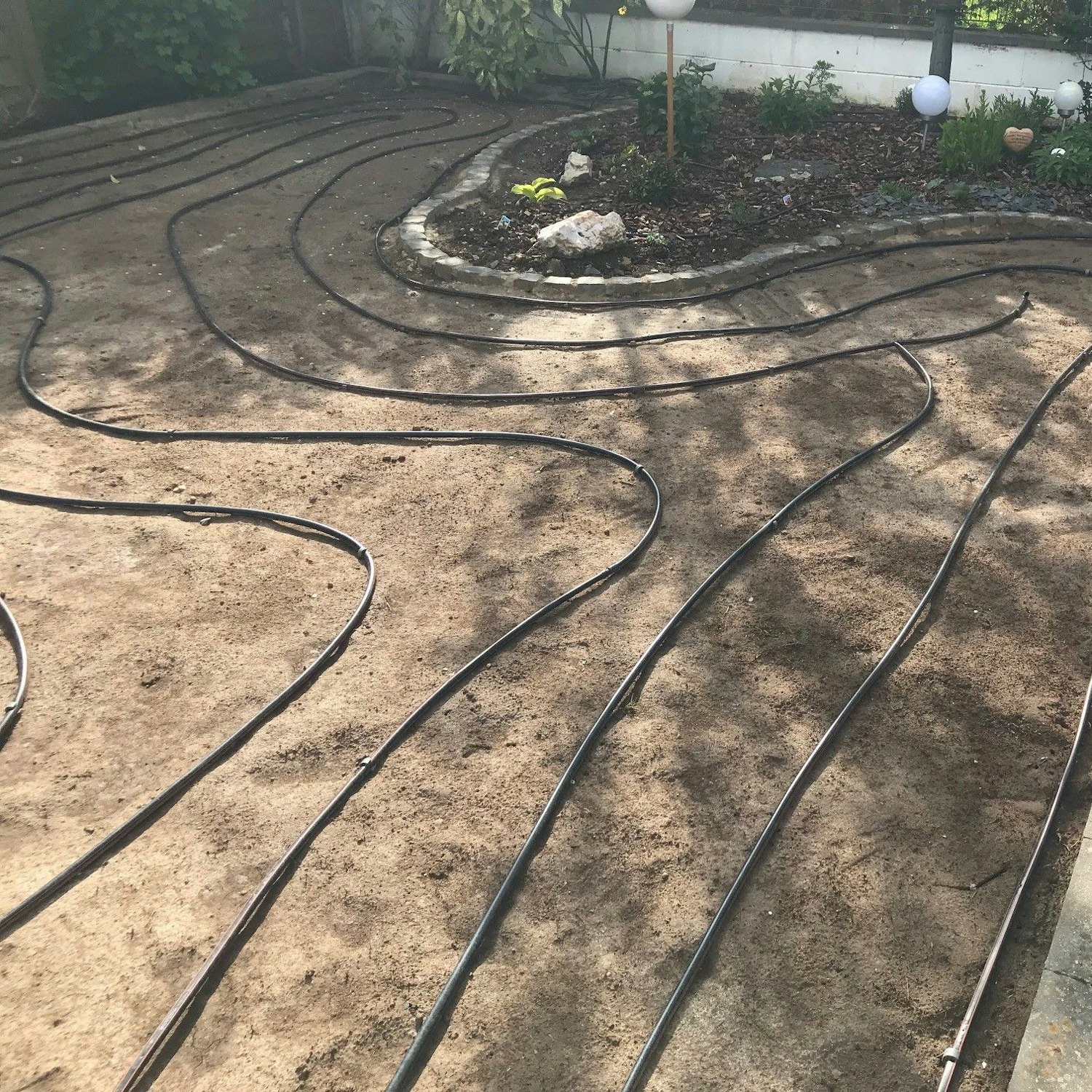 Auf der Erde liegen in Schleifen die Bewässerungsschläuche, die Addi Kirfel unter seinem Rasen verteilt hat.