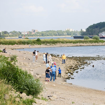 Auenlandschaft.Westhoven: Wanderung von Marienburg über Rodenkirchen nach Westhoven.