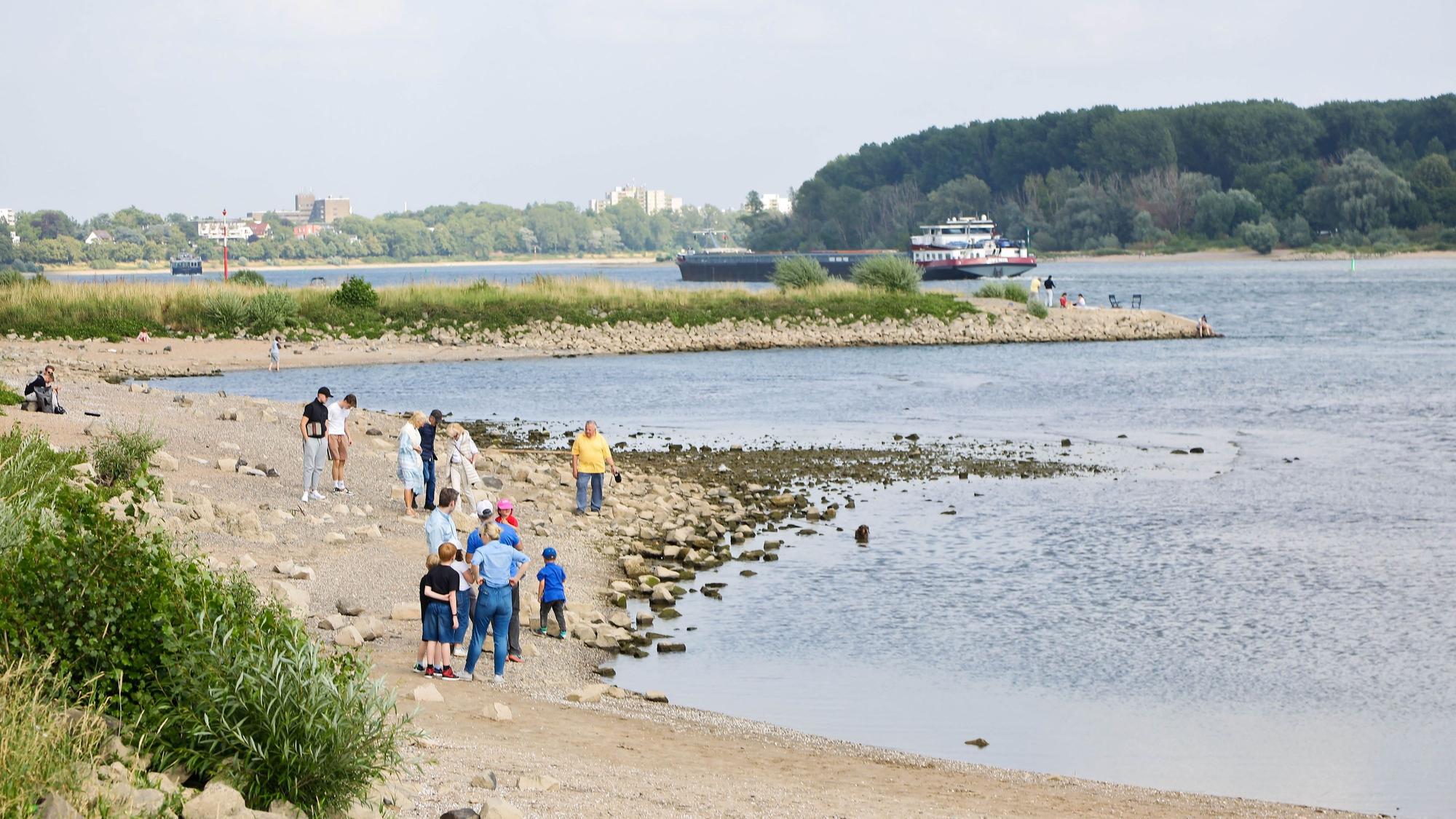 Auenlandschaft.Westhoven