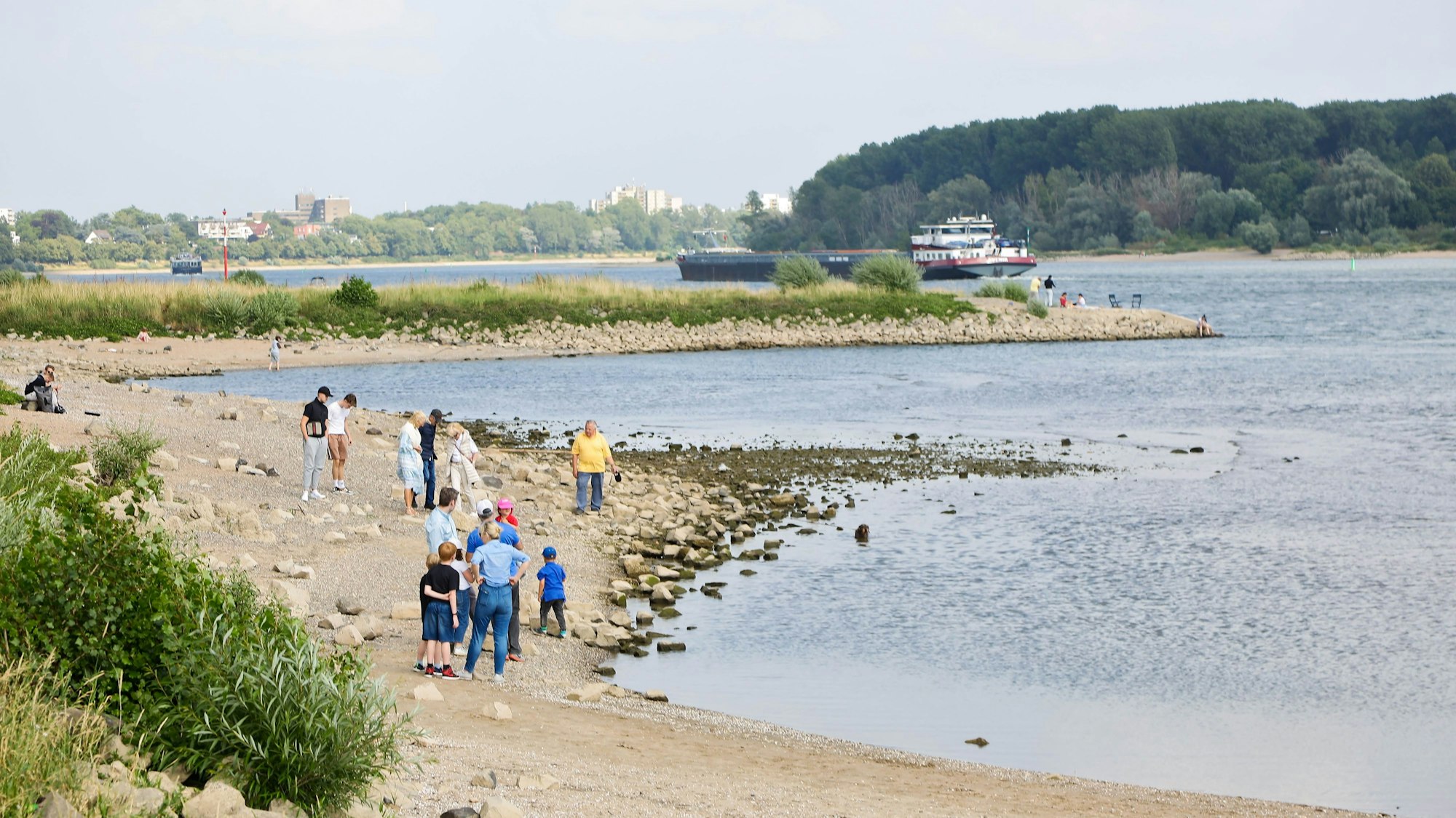 Auenlandschaft.Westhoven