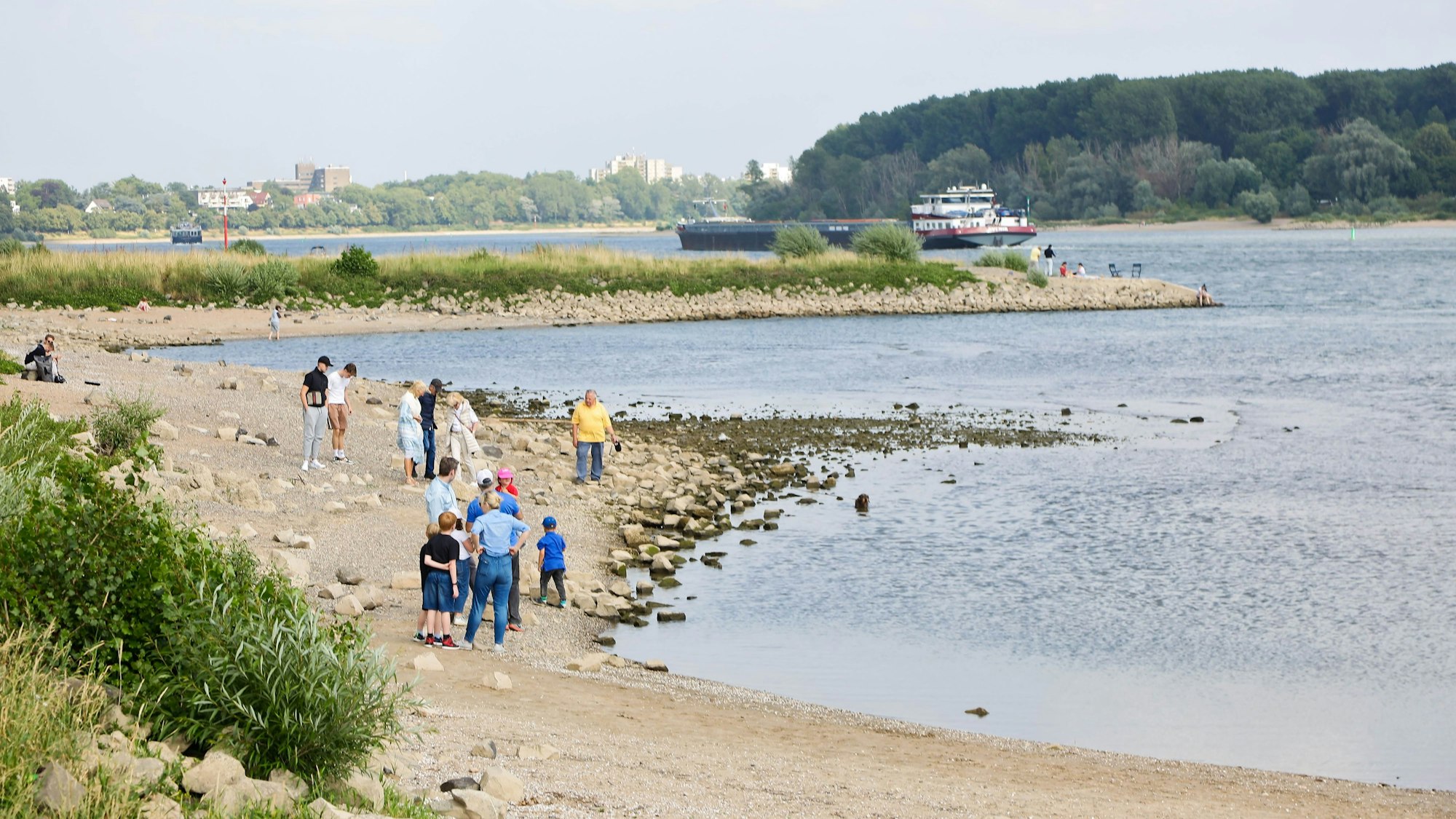 Auenlandschaft.Westhoven: Wanderung von Marienburg über Rodenkirchen nach Westhoven.