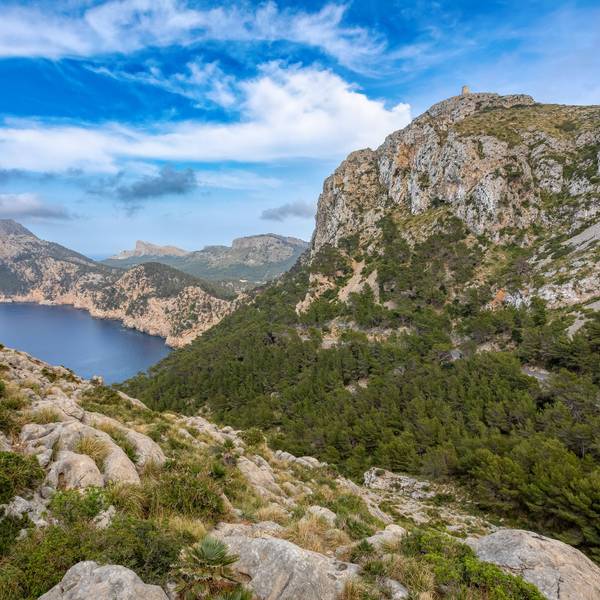 Die Baleareninsel Mallorca lockt Jahr für Jahr nicht nur Strandtouristen, sondern auch Wanderer an. (Symbolbild)