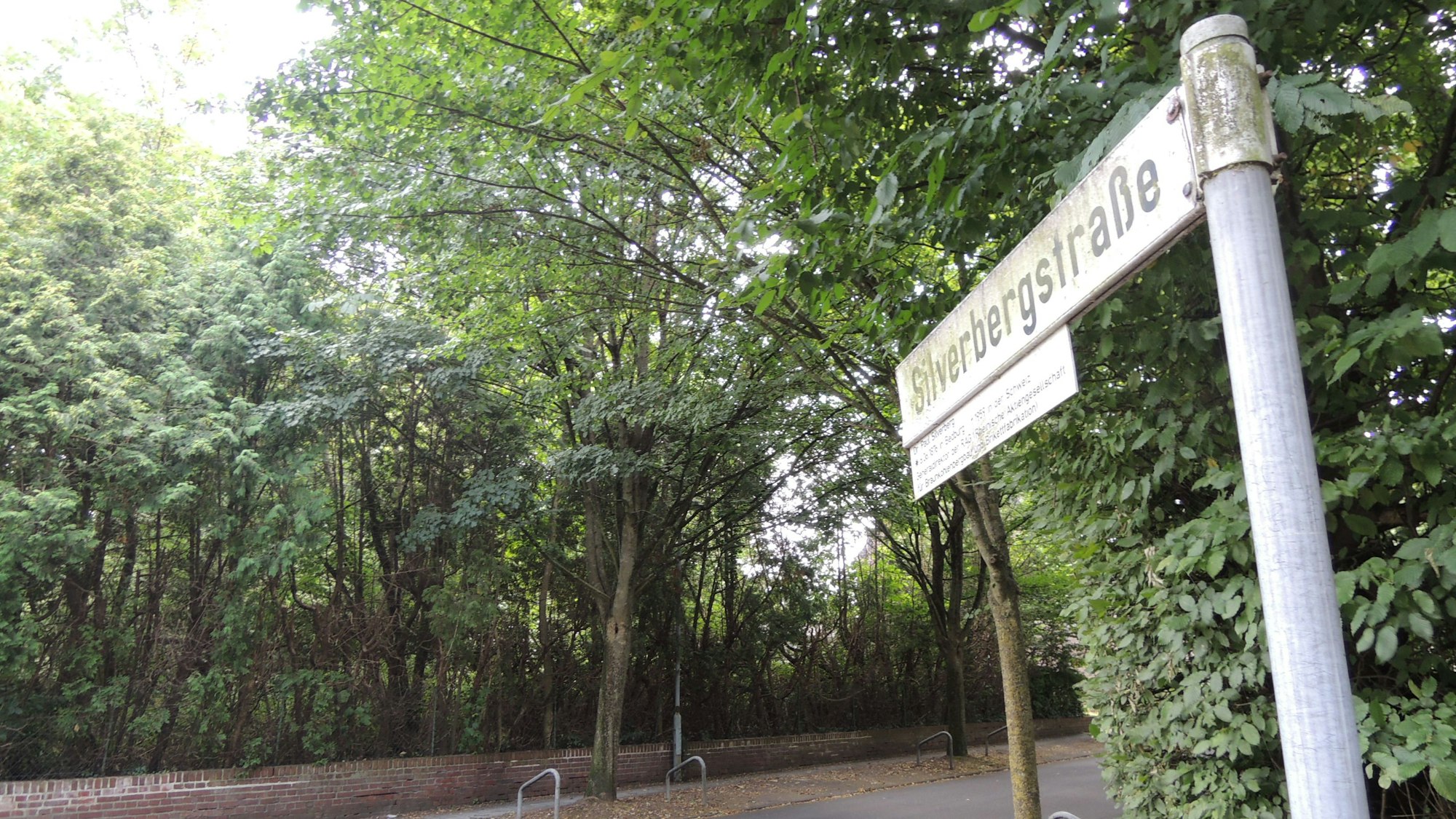 Ein Straßenschild steht an einer Straße mit vielen grünen Bäumen.