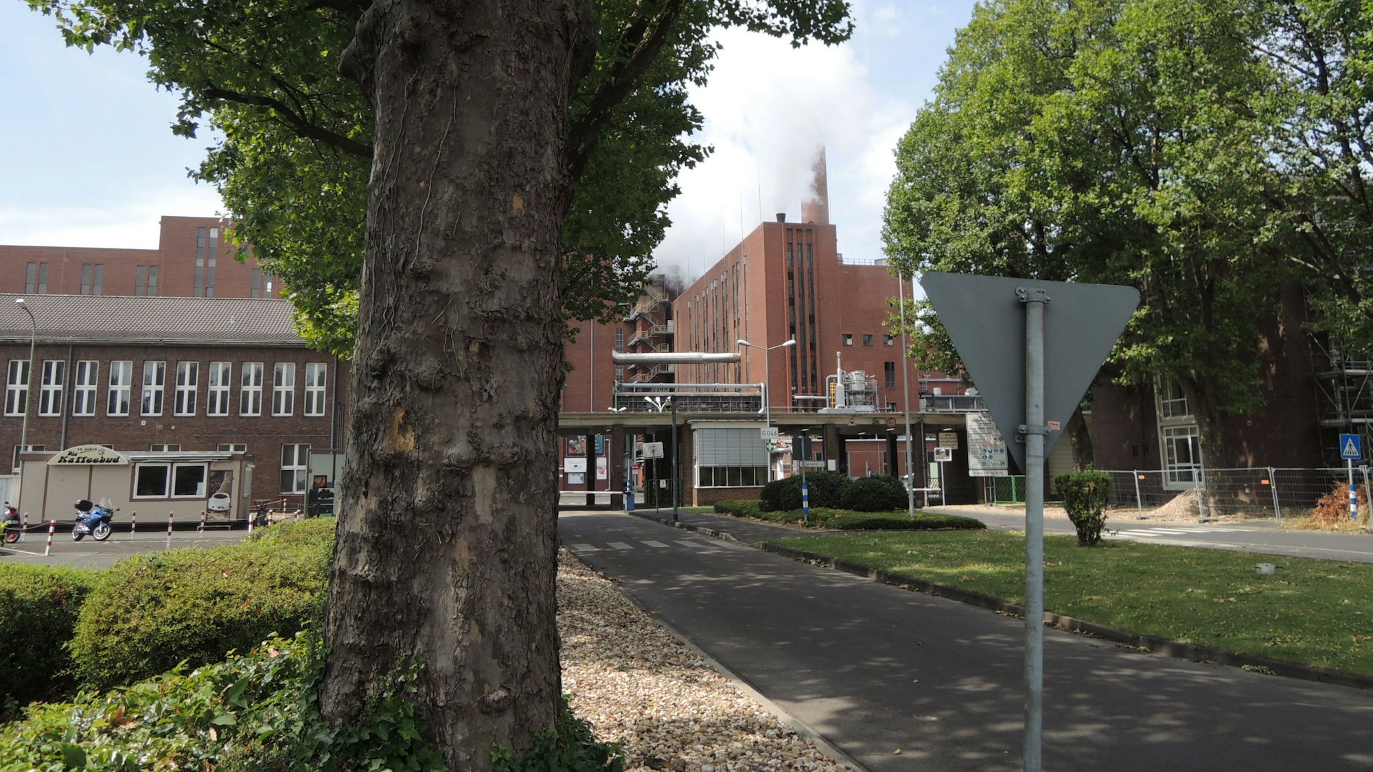 Ein Baum steht an einem Weg, im Hintergrund kann man eine Fabrik erkennen.