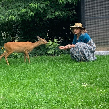 Eine Frau füttert ein Reh im Garten.