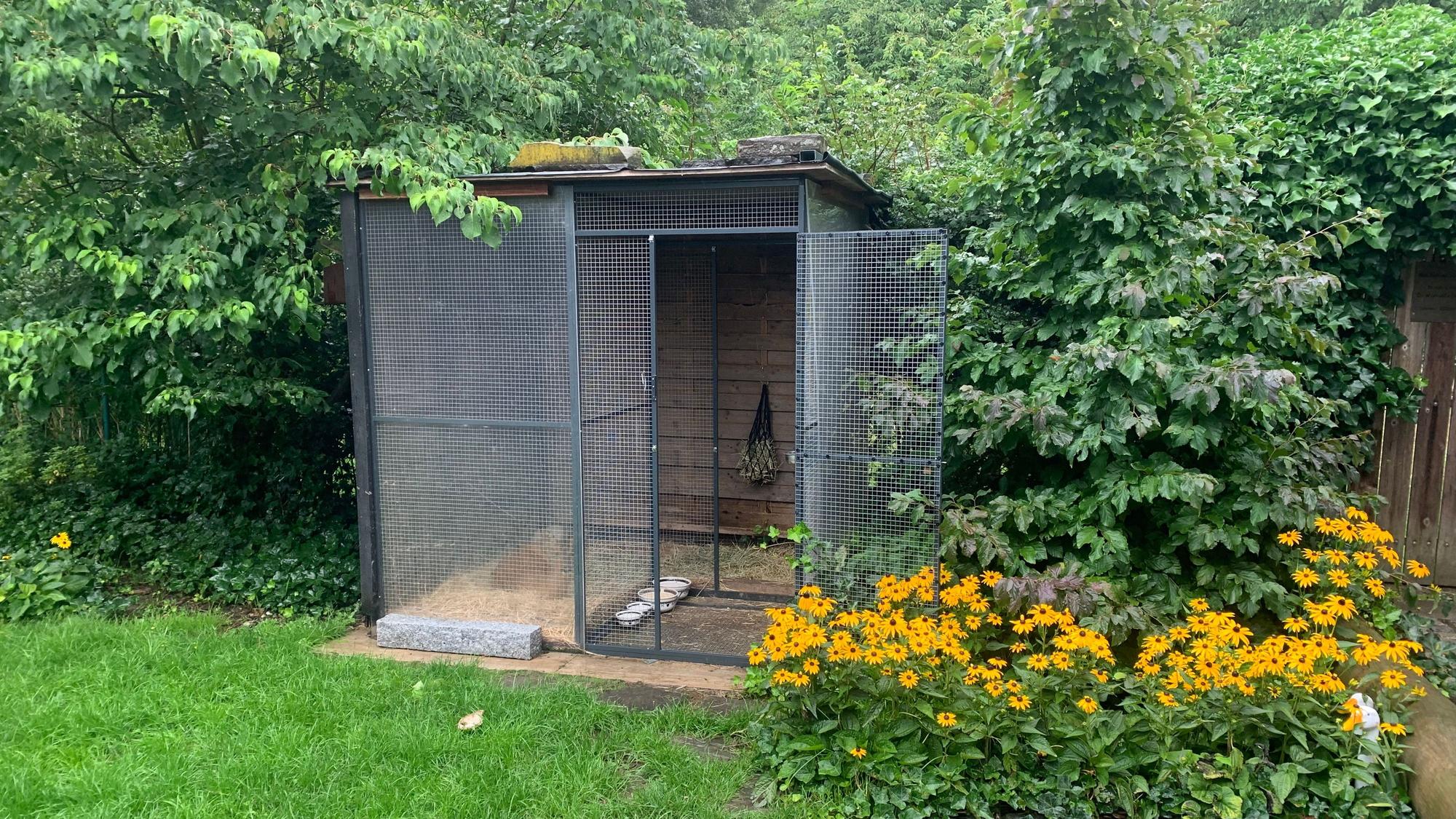 Ein großer Käfig steht mit geöffneter Tür in einem Garten.